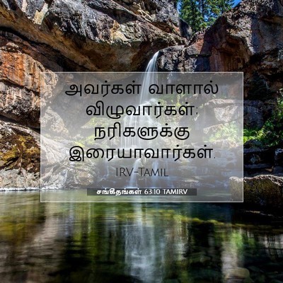 Picture 07 - சங்கீதங்கள் 63:10 TAMIRV - அவர்கள் வாளால் - Bible Verse Picture