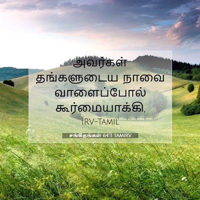 Picture 07 - சங்கீதங்கள் 64:3 TAMIRV - அவர்கள் தங்களுடைய - Bible Verse Picture