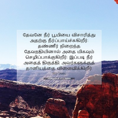 Picture 07 - சங்கீதங்கள் 65:9 TAMIRV - தேவனே நீர் பூமியை - Bible Verse Picture