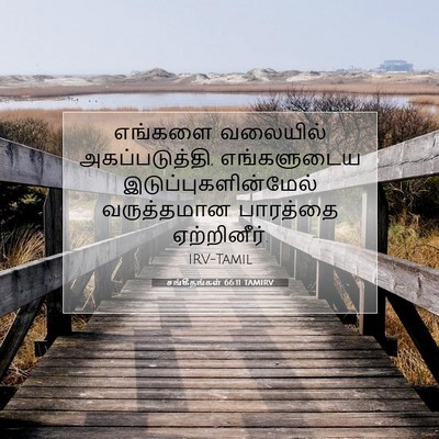 Picture 07 - சங்கீதங்கள் 66:11 TAMIRV - எங்களை வலையில் - Bible Verse Picture
