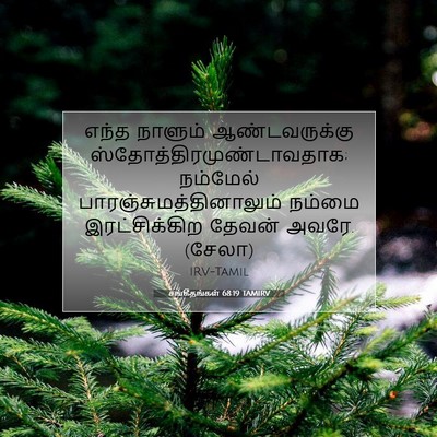 Picture 07 - சங்கீதங்கள் 68:19 TAMIRV - எந்த நாளும் - Bible Verse Picture