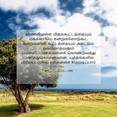 Picture 07 - சங்கீதங்கள் 68:30 TAMIRV - நாணலிலுள்ள - Bible Verse Picture