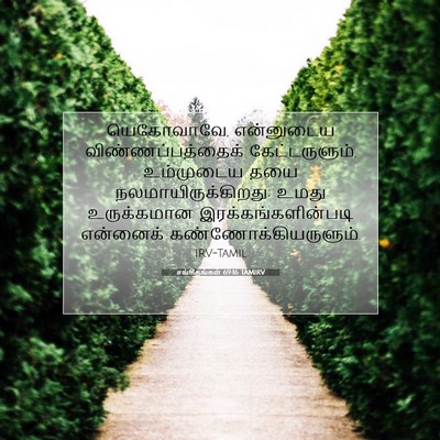 Picture 07 - சங்கீதங்கள் 69:16 TAMIRV - யெகோவாவே, - Bible Verse Picture