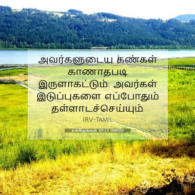 Picture 07 - சங்கீதங்கள் 69:23 TAMIRV - அவர்களுடைய கண்கள் - Bible Verse Picture