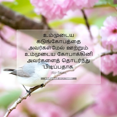 Picture 07 - சங்கீதங்கள் 69:24 TAMIRV - உம்முடைய - Bible Verse Picture
