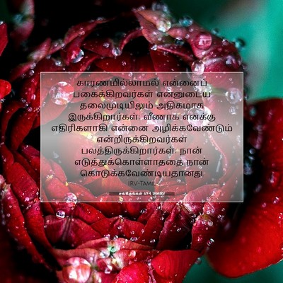 Picture 07 - சங்கீதங்கள் 69:4 TAMIRV - காரணமில்லாமல் - Bible Verse Picture