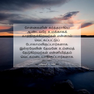 Picture 07 - சங்கீதங்கள் 69:6 TAMIRV - சேனைகளின் - Bible Verse Picture