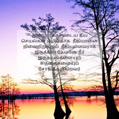 Picture 07 - சங்கீதங்கள் 7:9 TAMIRV - துன்மார்க்கனுடைய - Bible Verse Picture