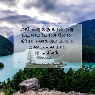 Picture 07 - சங்கீதங்கள் 71:7 TAMIRV - அநேகருக்கு நான் - Bible Verse Picture
