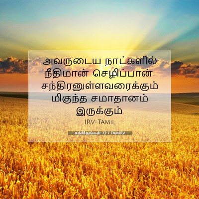 Picture 07 - சங்கீதங்கள் 72:7 TAMIRV - அவருடைய நாட்களில் - Bible Verse Picture