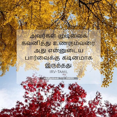 Picture 07 - சங்கீதங்கள் 73:17 TAMIRV - அவர்கள் முடிவைக் - Bible Verse Picture