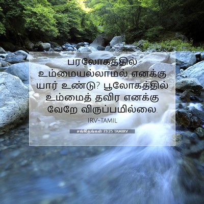 Picture 07 - சங்கீதங்கள் 73:25 TAMIRV - பரலோகத்தில் - Bible Verse Picture