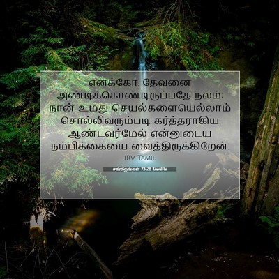 Picture 07 - சங்கீதங்கள் 73:28 TAMIRV - எனக்கோ, தேவனை - Bible Verse Picture