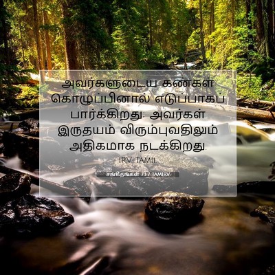 Picture 07 - சங்கீதங்கள் 73:7 TAMIRV - அவர்களுடைய கண்கள் - Bible Verse Picture