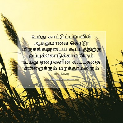 Picture 07 - சங்கீதங்கள் 74:19 TAMIRV - உமது - Bible Verse Picture