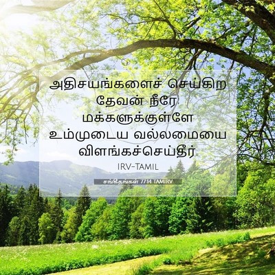 Picture 07 - சங்கீதங்கள் 77:14 TAMIRV - அதிசயங்களைச் - Bible Verse Picture