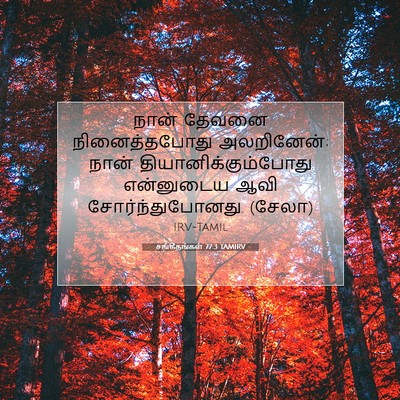 Picture 07 - சங்கீதங்கள் 77:3 TAMIRV - நான் தேவனை - Bible Verse Picture