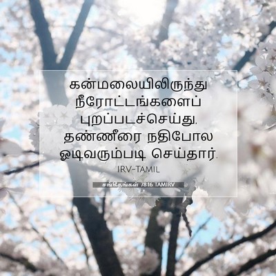 Picture 07 - சங்கீதங்கள் 78:16 TAMIRV - கன்மலையிலிருந்து - Bible Verse Picture