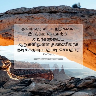 Picture 07 - சங்கீதங்கள் 78:44 TAMIRV - அவர்களுடைய நதிகளை - Bible Verse Picture