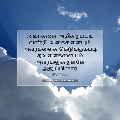 Picture 07 - சங்கீதங்கள் 78:45 TAMIRV - அவர்களை - Bible Verse Picture