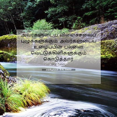 Picture 07 - சங்கீதங்கள் 78:46 TAMIRV - அவர்களுடைய - Bible Verse Picture