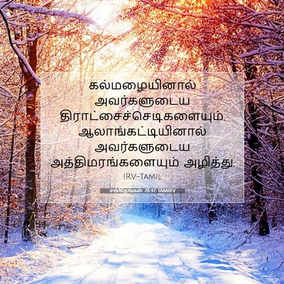 Picture 07 - சங்கீதங்கள் 78:47 TAMIRV - கல்மழையினால் - Bible Verse Picture