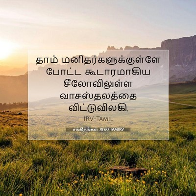 Picture 07 - சங்கீதங்கள் 78:60 TAMIRV - தாம் - Bible Verse Picture