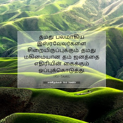 Picture 07 - சங்கீதங்கள் 78:61 TAMIRV - தமது பலமாகிய - Bible Verse Picture