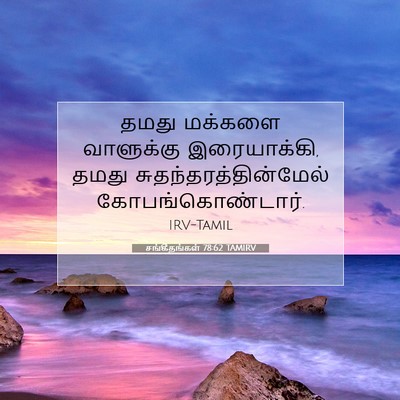 Picture 07 - சங்கீதங்கள் 78:62 TAMIRV - தமது மக்களை - Bible Verse Picture