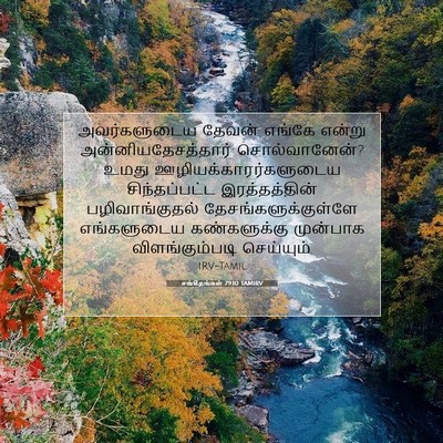 Picture 07 - சங்கீதங்கள் 79:10 TAMIRV - அவர்களுடைய தேவன் - Bible Verse Picture
