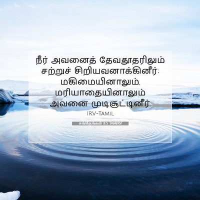 Picture 07 - சங்கீதங்கள் 8:5 TAMIRV - நீர் அவனைத் - Bible Verse Picture