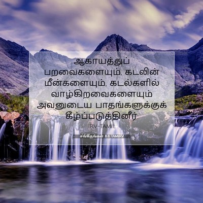Picture 07 - சங்கீதங்கள் 8:8 TAMIRV - ஆகாயத்துப் - Bible Verse Picture