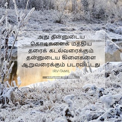 Picture 07 - சங்கீதங்கள் 80:11 TAMIRV - அது தன்னுடைய - Bible Verse Picture