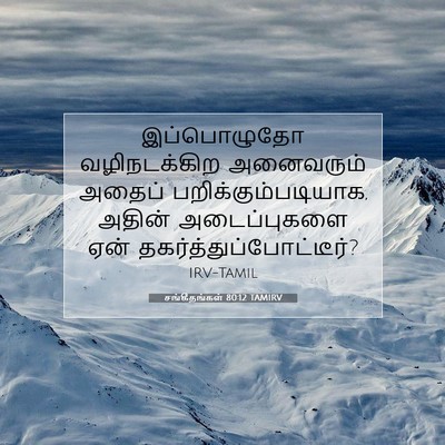 Picture 07 - சங்கீதங்கள் 80:12 TAMIRV - இப்பொழுதோ - Bible Verse Picture