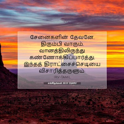 Picture 07 - சங்கீதங்கள் 80:14 TAMIRV - சேனைகளின் தேவனே, - Bible Verse Picture