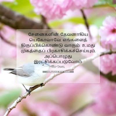 Picture 07 - சங்கீதங்கள் 80:19 TAMIRV - சேனைகளின் - Bible Verse Picture