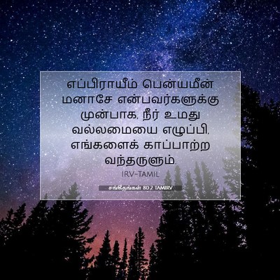 Picture 07 - சங்கீதங்கள் 80:2 TAMIRV - எப்பிராயீம் - Bible Verse Picture