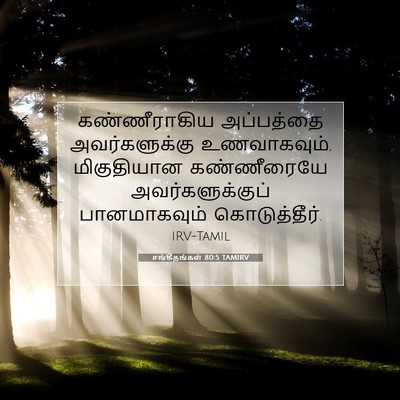 Picture 07 - சங்கீதங்கள் 80:5 TAMIRV - கண்ணீராகிய - Bible Verse Picture