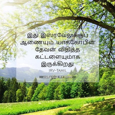 Picture 07 - சங்கீதங்கள் 81:4 TAMIRV - இது - Bible Verse Picture