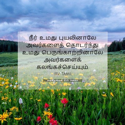 Picture 07 - சங்கீதங்கள் 83:15 TAMIRV - நீர் உமது - Bible Verse Picture