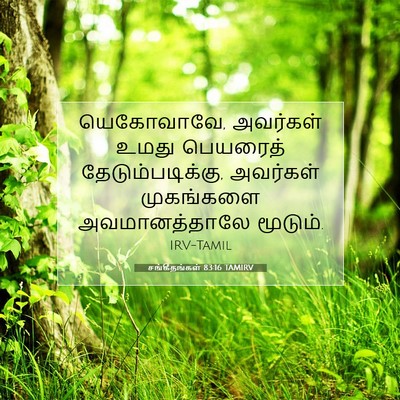 Picture 07 - சங்கீதங்கள் 83:16 TAMIRV - யெகோவாவே, அவர்கள் - Bible Verse Picture