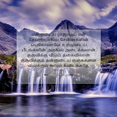 Picture 07 - சங்கீதங்கள் 84:3 TAMIRV - என்னுடைய ராஜாவும் - Bible Verse Picture