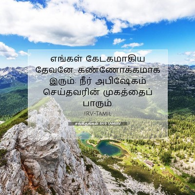 Picture 07 - சங்கீதங்கள் 84:9 TAMIRV - எங்கள் கேடகமாகிய - Bible Verse Picture