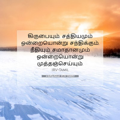 Picture 07 - சங்கீதங்கள் 85:10 TAMIRV - கிருபையும், - Bible Verse Picture