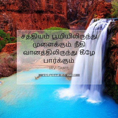 Picture 07 - சங்கீதங்கள் 85:11 TAMIRV - சத்தியம் - Bible Verse Picture