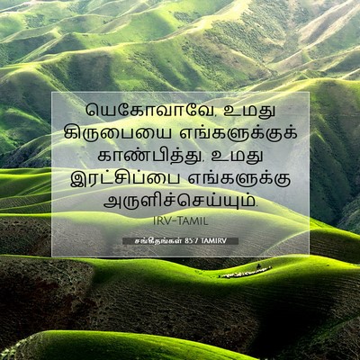 Picture 07 - சங்கீதங்கள் 85:7 TAMIRV - யெகோவாவே, உமது - Bible Verse Picture