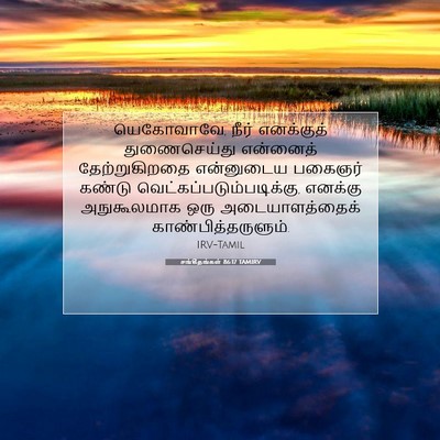 Picture 07 - சங்கீதங்கள் 86:17 TAMIRV - யெகோவாவே, நீர் - Bible Verse Picture