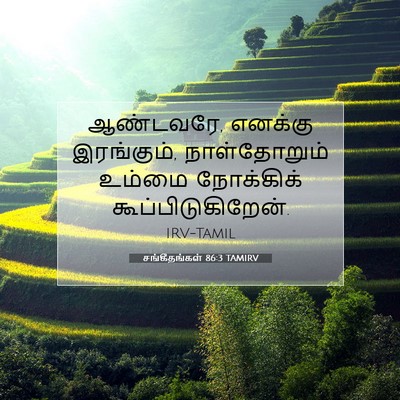 Picture 07 - சங்கீதங்கள் 86:3 TAMIRV - ஆண்டவரே, எனக்கு - Bible Verse Picture