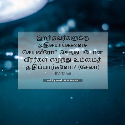Picture 07 - சங்கீதங்கள் 88:10 TAMIRV - இறந்தவர்களுக்கு - Bible Verse Picture