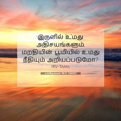 Picture 07 - சங்கீதங்கள் 88:12 TAMIRV - இருளில் உமது - Bible Verse Picture